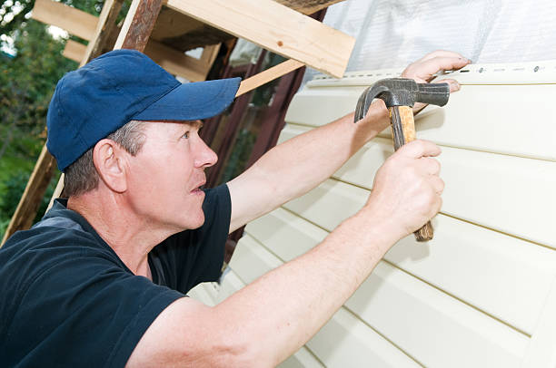 Best Siding Painting and Refinishing  in Goodyear, AZ
